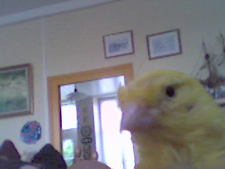 bouboule2